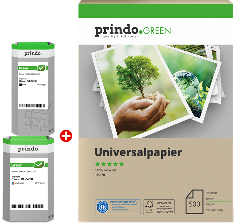 Prindo Green XL Schwarz / mehrere Farben Value Pack PRSCPG545XL_CL546XLG MCVP